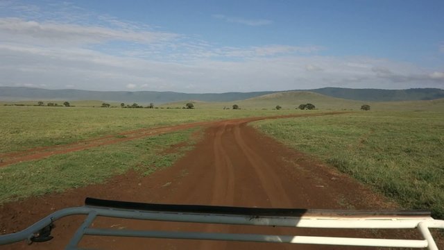 Drive Tanzani Serengeti