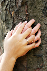 Two hands with wedding rings hugging trunk large tree, close-up