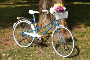 Bicycle with flowers in metal basket on park background