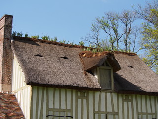 Toit de chaume - Le Hameau de Chantilly