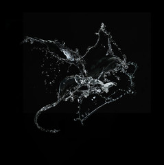 Water splashes on black background