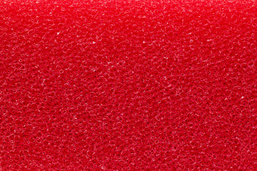 Fototapeta premium Red Sponge Macro shot