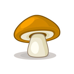 Mushroom isolated on white background. Vector