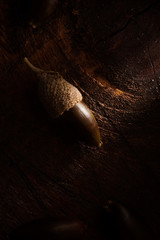 Acorn on Wooden Surface, Low Key