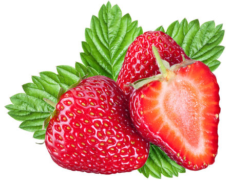 One rich strawberry fruit.