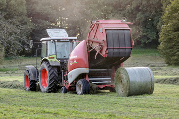 Heuernte © helmutvogler