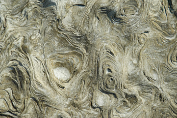 Beautiful stone surface texture