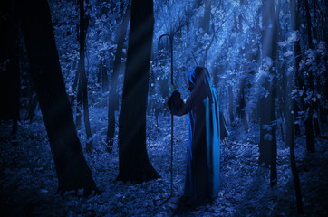 Witch in the moonlight forest