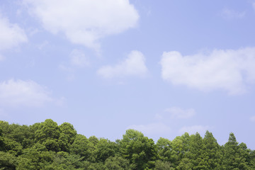 Fototapeta na wymiar 青空と雲と森林