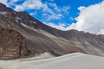 Sand dunes. Nubra valley, Ladakh, India