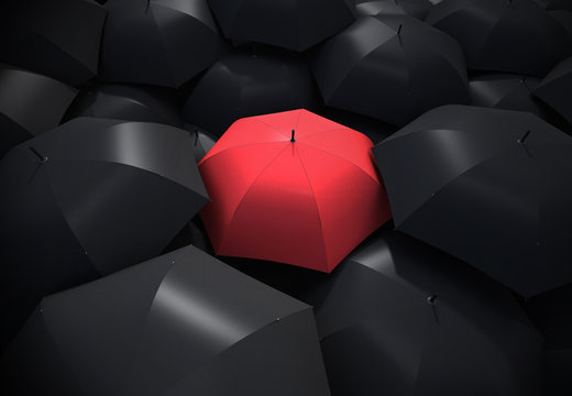 Red Umbrella Standing Out From Background Of Black Umbrellas