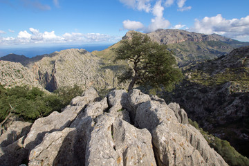 Fototapeta na wymiar Berge in Mallorca
