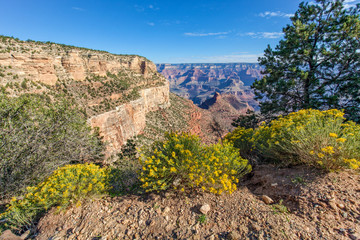 Grand Canyon South Rim landscape