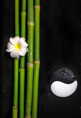 beautiful spa still life of symbol Yin Yang, frangipani flower a