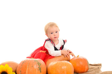 Halloween little witch