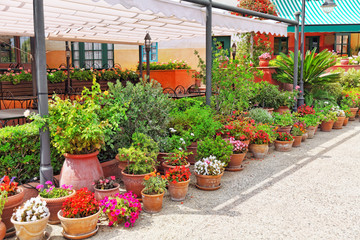 Typical landscapes and authentic Catalan cozy streets in cities