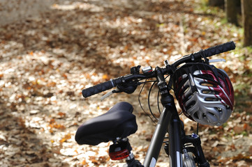 bicycles in autumn time