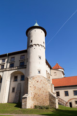 Fototapeta na wymiar view on castle Nowy Wisnicz in Poland