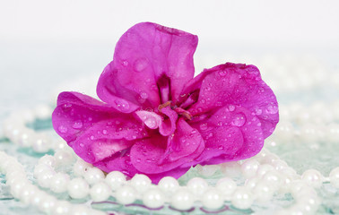 Flower and pearl necklace