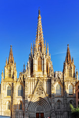 Cathedral. Cathedral of the Holy Cross and Saint Eulalia.Night v