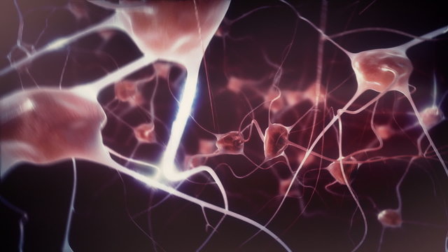 Zoom through blue eye into brain neurons (loop-able from 6:28)