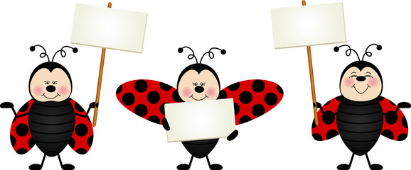 Three ladybirds with signboards © soniagoncalves