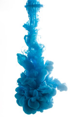 Ink swirling in water, cloud of ink in water isolated on white.