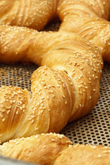 Bakery products in bakery shop