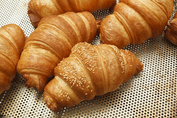 Bakery products in bakery shop