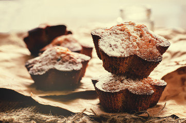 chocolate muffins