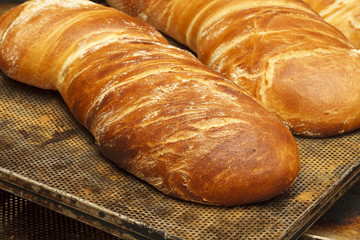 Bakery products in bakery shop