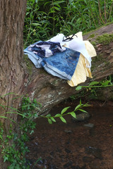 Cothing left on a tree, while young woman goes swimming