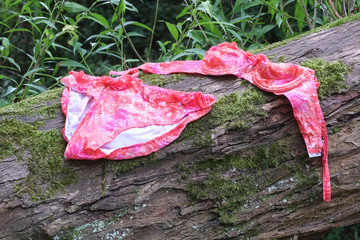 Wet viintage swimsuit left to dry on a tree