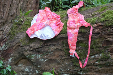 Wet retro 1960's bikini left to dry on a tree