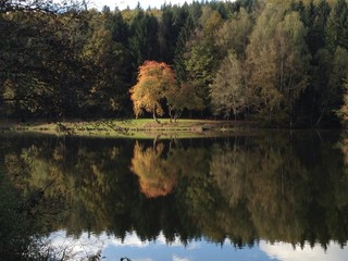 Herbstspaziergang am See