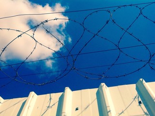 barbed wire fence with blue sky