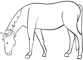 outline horse