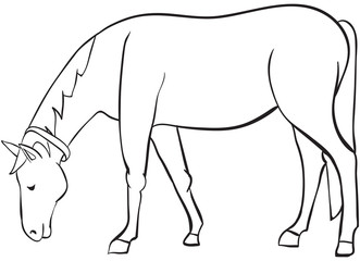 outline horse © Rada Covalenco