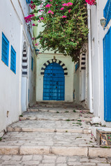 Fototapeta na wymiar Sidi Bou Said - typical building with white walls, blue doors an