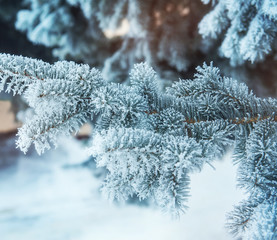 Winter background with snow-covered tree