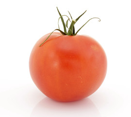 pomidor
