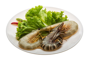 King and waterleg shrimps