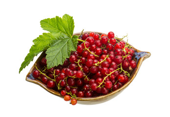 Red currant