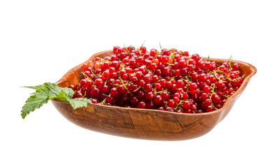 Red currant
