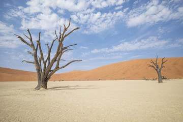 Deadvlei