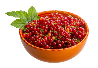 Red currant