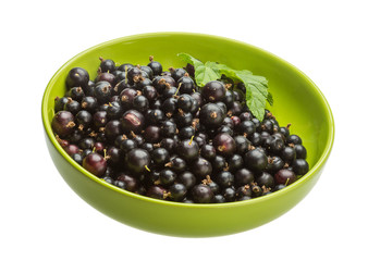 Black currant