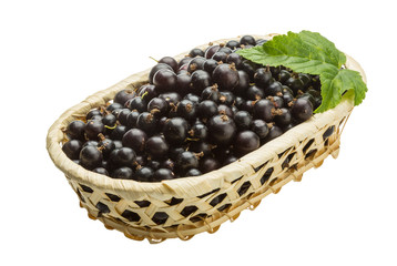 Black currant