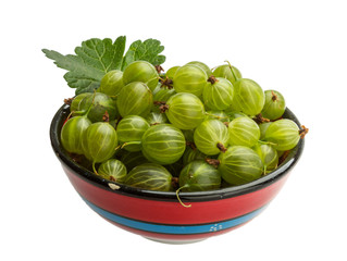 Gooseberry