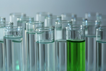 Test tubes on gray background